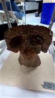 連杯形器藏品圖，第1張