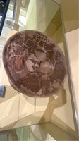 連杯形器藏品圖，第1張
