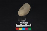 石鎚藏品圖，第4張