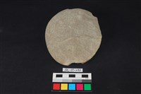 石核藏品圖，第1張