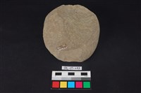 石核藏品圖，第2張