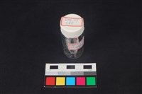 錛鑿形器藏品圖，第4張