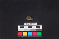 錛鑿形器藏品圖，第2張