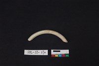 玉環藏品圖，第2張