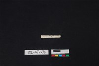 玉簪藏品圖，第1張