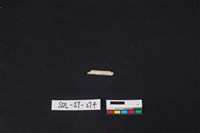 玉簪藏品圖，第2張