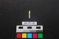 玉飾藏品圖，第2張
