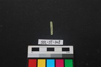 玉飾藏品圖，第2張