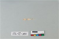 玉飾藏品圖，第1張