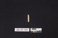 玉飾藏品圖，第2張