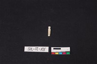 玉飾藏品圖，第1張