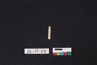 玉飾藏品圖，第1張