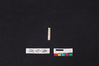 玉飾藏品圖，第1張