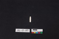 玉飾藏品圖，第2張