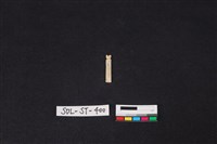 玉飾藏品圖，第1張