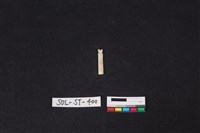 玉飾藏品圖，第2張