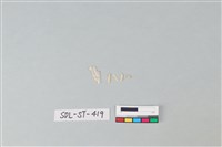 玉飾藏品圖，第1張