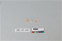 玉飾藏品圖，第2張