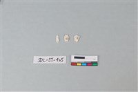 玉飾藏品圖，第2張