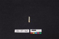 玉飾藏品圖，第2張