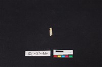 玉飾藏品圖，第2張