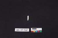 玉飾藏品圖，第1張