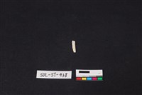 玉飾藏品圖，第2張