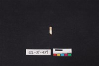 玉飾藏品圖，第1張