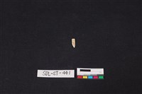 玉飾藏品圖，第1張