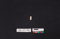 玉飾藏品圖，第2張