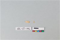 玉飾藏品圖，第2張