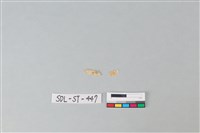 玉飾藏品圖，第1張