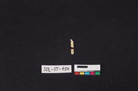 玉飾藏品圖，第2張