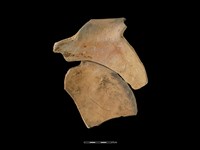 陶罐藏品圖，第2張