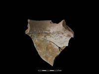 陶罐藏品圖，第2張