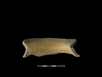 陶罐藏品圖，第2張