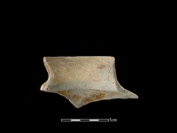 陶罐藏品圖，第2張