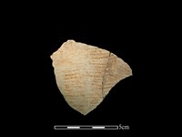 陶片藏品圖，第1張