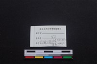 家犬藏品圖，第5張