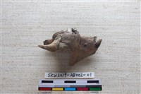 家犬藏品圖，第3張