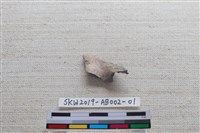 家犬藏品圖，第5張