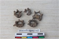 家犬藏品圖，第1張