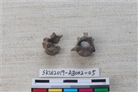 家犬藏品圖，第3張