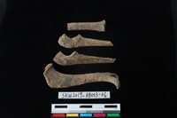 家犬藏品圖，第1張