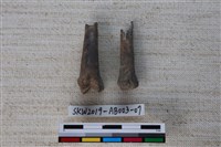 家犬藏品圖，第2張