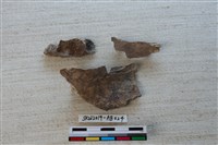 獸骨藏品圖，第2張