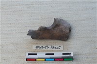 獸骨藏品圖，第1張