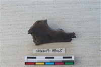 獸骨藏品圖，第2張