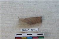 獸骨藏品圖，第1張