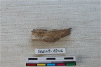 獸骨藏品圖，第2張